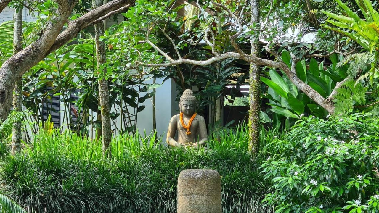 Hotel Ayurvedagram Bali Ubud Exteriér fotografie