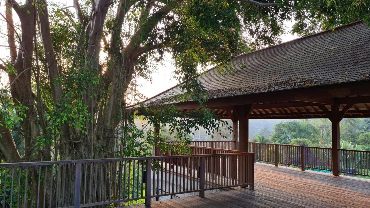 Hotel Ayurvedagram Bali Ubud Exteriér fotografie