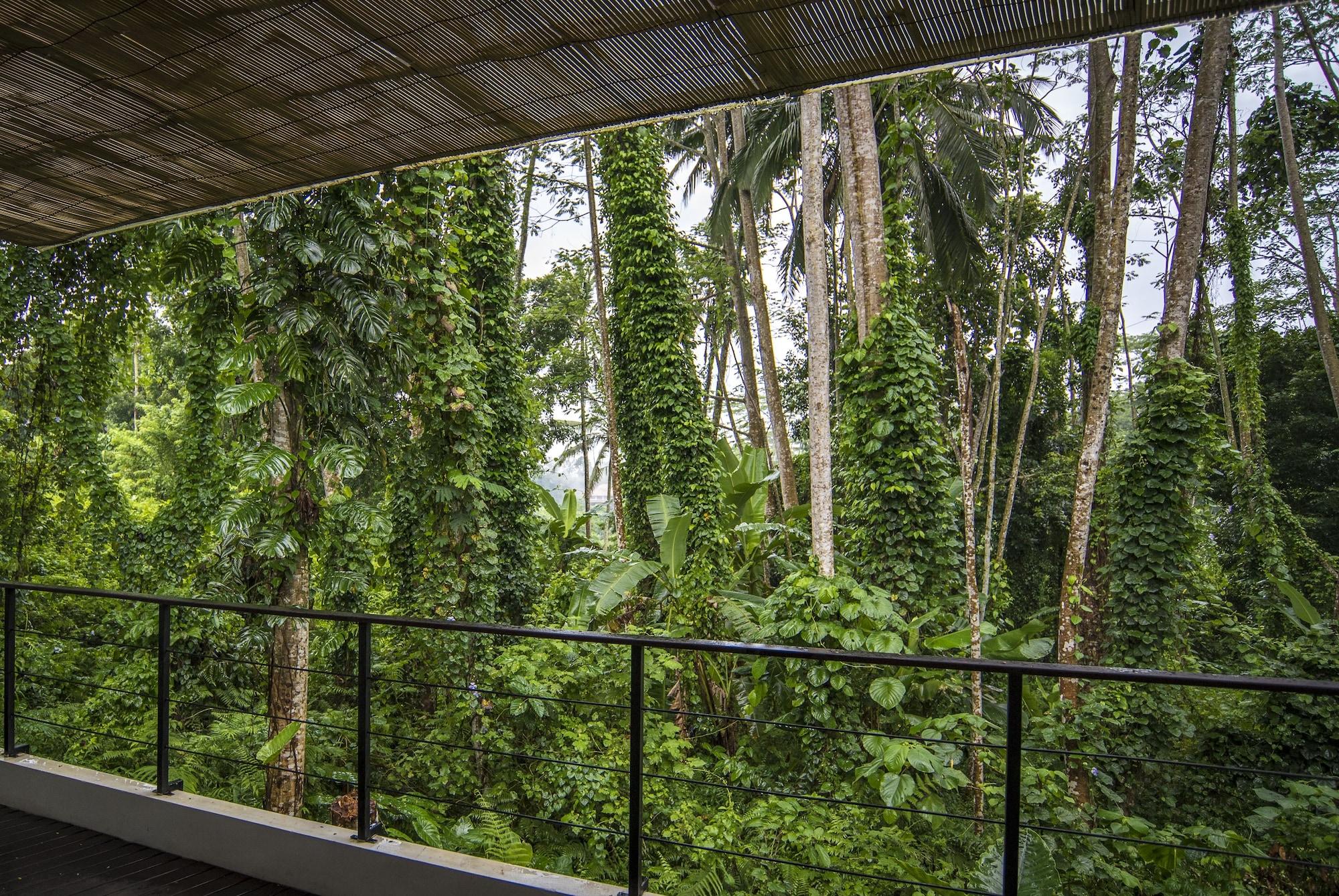 Hotel Ayurvedagram Bali Ubud Exteriér fotografie