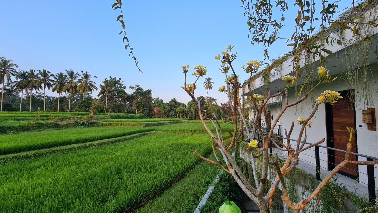Hotel Ayurvedagram Bali Ubud Exteriér fotografie
