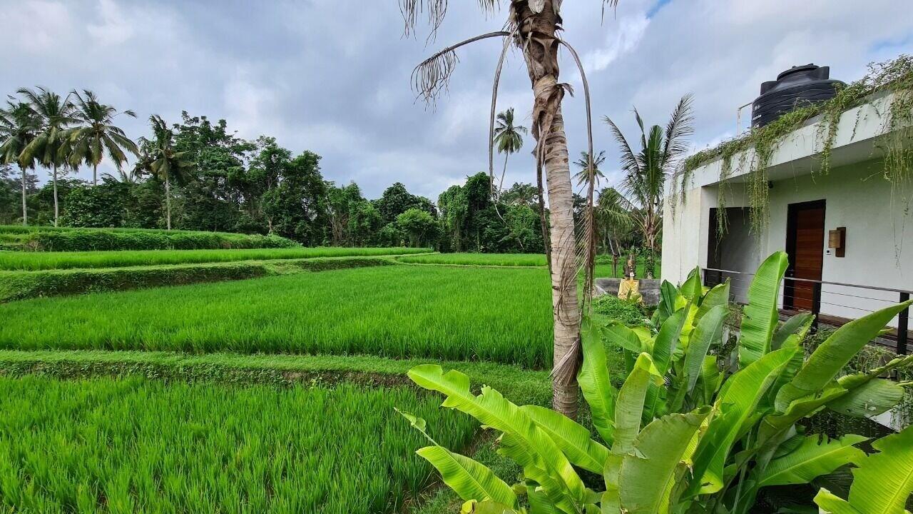 Hotel Ayurvedagram Bali Ubud Exteriér fotografie