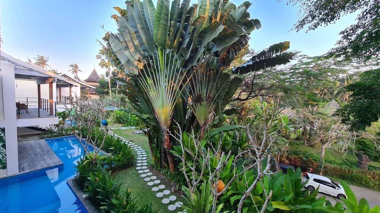 Hotel Ayurvedagram Bali Ubud Exteriér fotografie