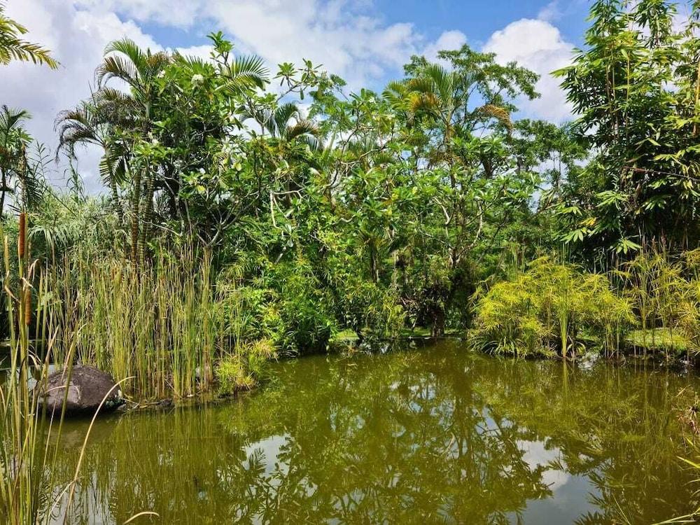 Hotel Ayurvedagram Bali Ubud Exteriér fotografie